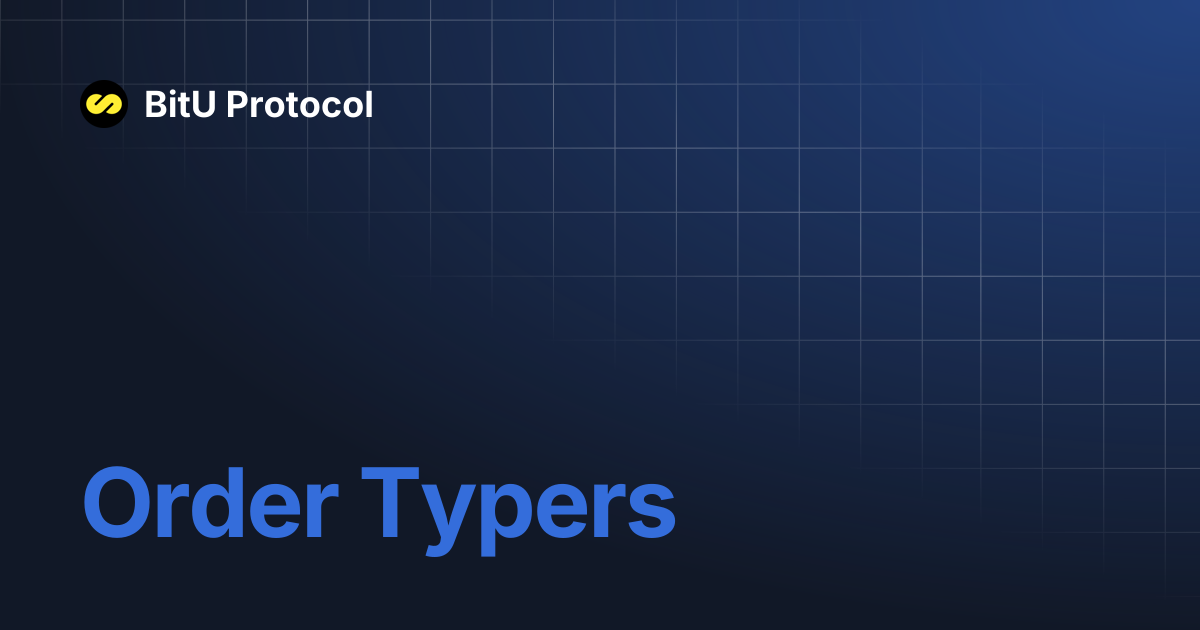 Order Typers | BitU Protocol