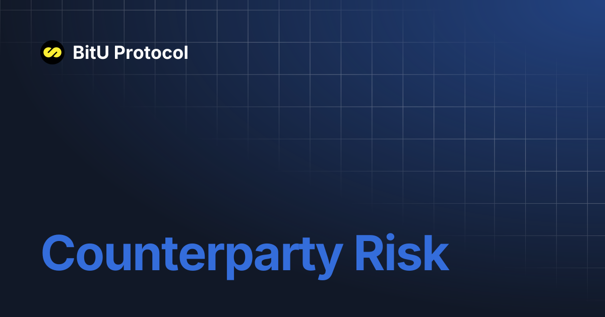 Counterparty Risk | BitU Protocol